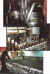 McCashin's bottling plant