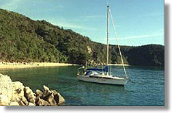 Sail Tasman Yacht Charters