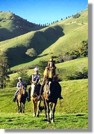 Stonehurst Farm Horse Treks